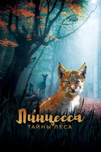  Линцесса. Тайны леса 